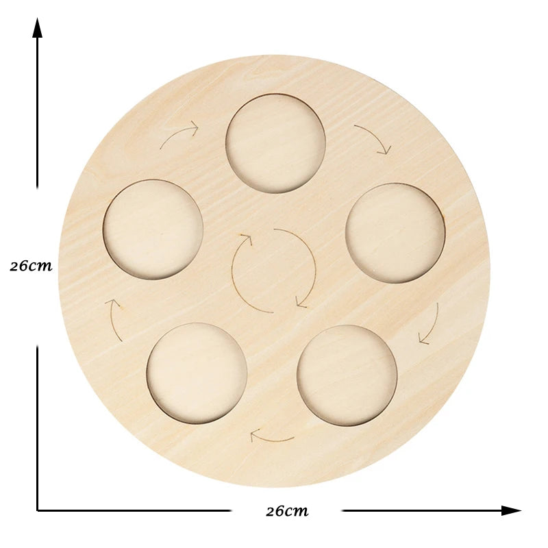 Life Cycle of animals and plants toys or puzzles