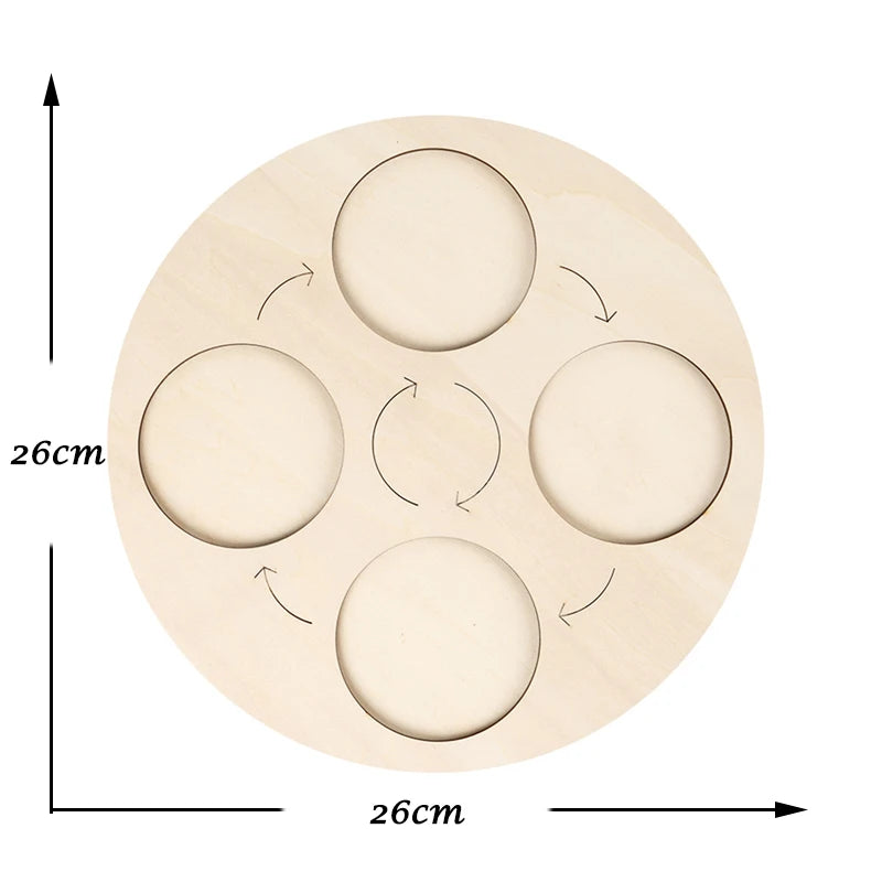 Life Cycle of animals and plants toys or puzzles