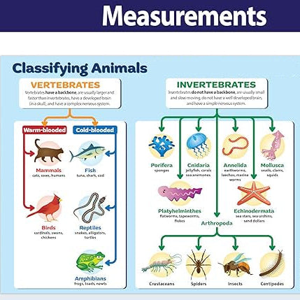 Animal Classification Chart For Children