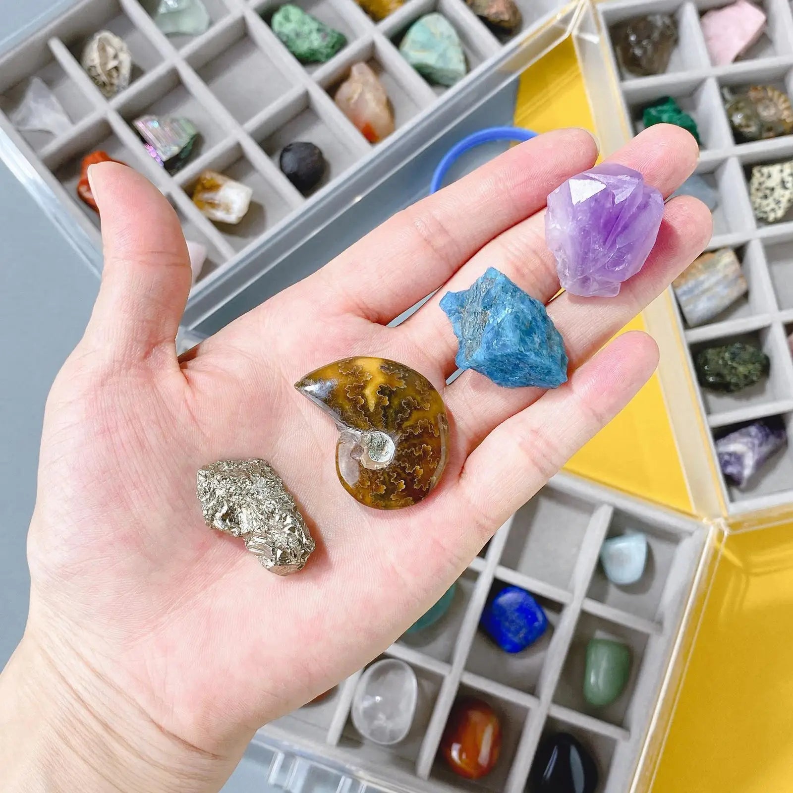 Types of rocks kit for kids