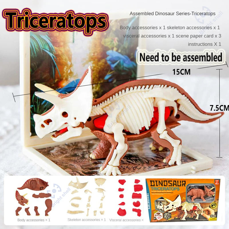 Fossils Toy for kids