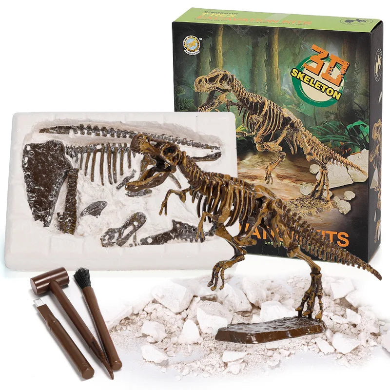 Fossils Toy for kids