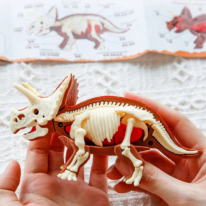 Fossils Toy for kids