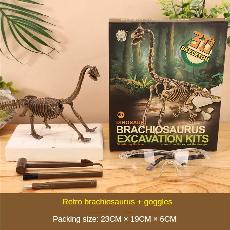 Fossils Toy for kids