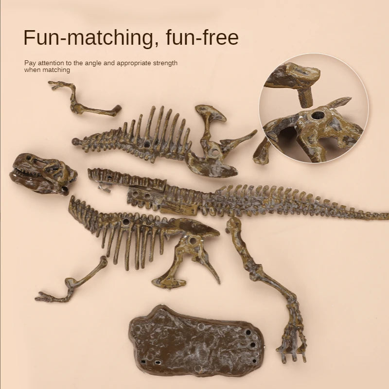 Fossils Toy for kids