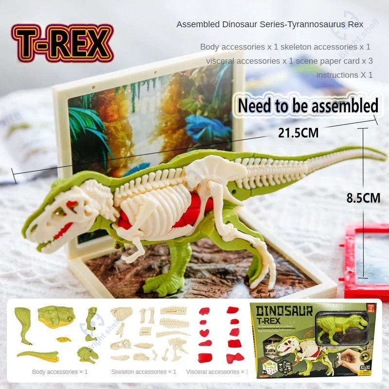 Fossils Toy for kids