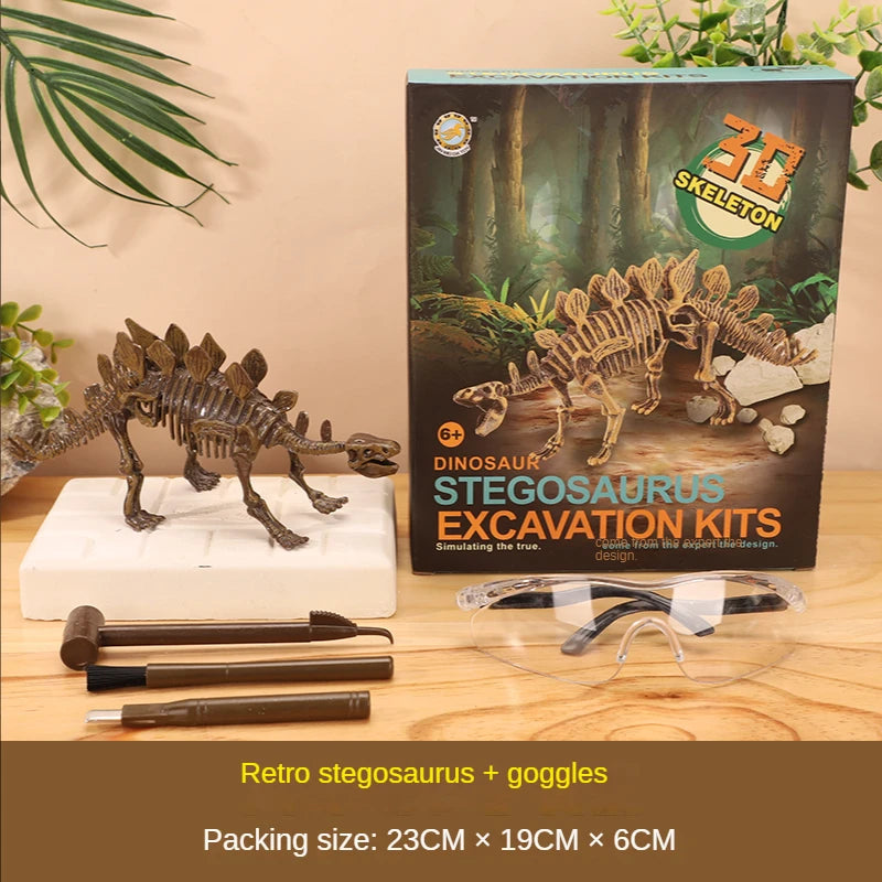 Fossils Toy for kids