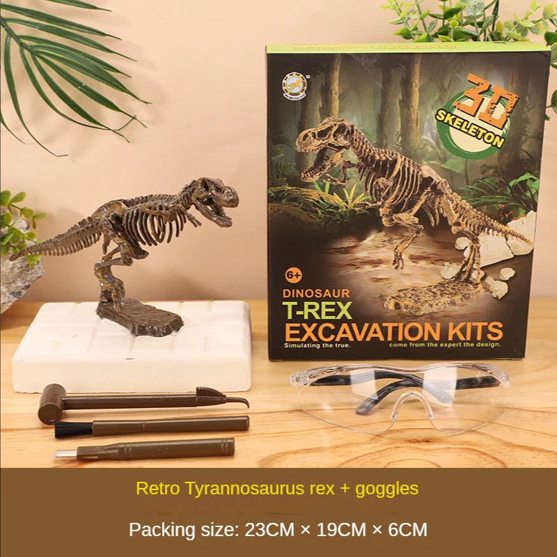 Fossils Toy for kids