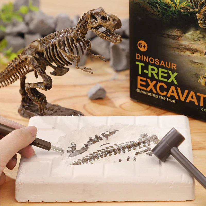 Fossils Toy for kids